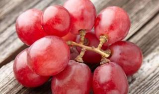 罗马葡萄多少钱一斤 罗马葡萄多少钱一斤