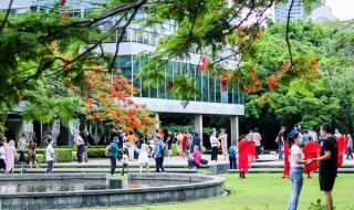 深圳华夏艺术中心 深圳华夏艺术中心