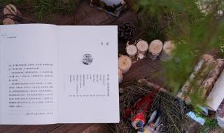 朋友圈发烟花配文字 朋友圈发烟花配文字