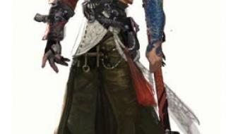 神雕侠侣丐帮怎么加点 神雕侠侣丐帮怎么加点