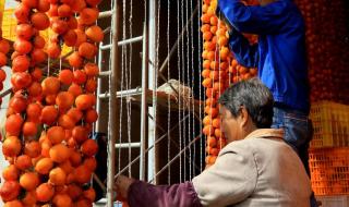 柿饼的制作方法过程 柿饼的制作方法过程