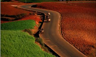 云南省昆明市东川区