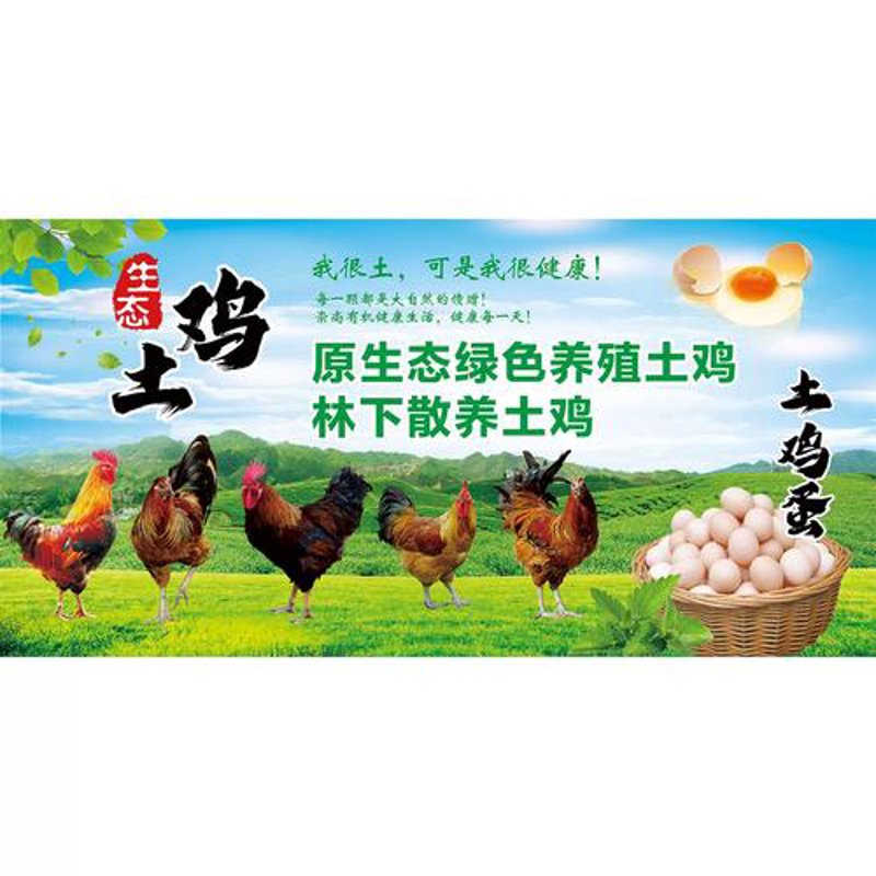 寻找生活的暖意——老母鸡汤的温情故事